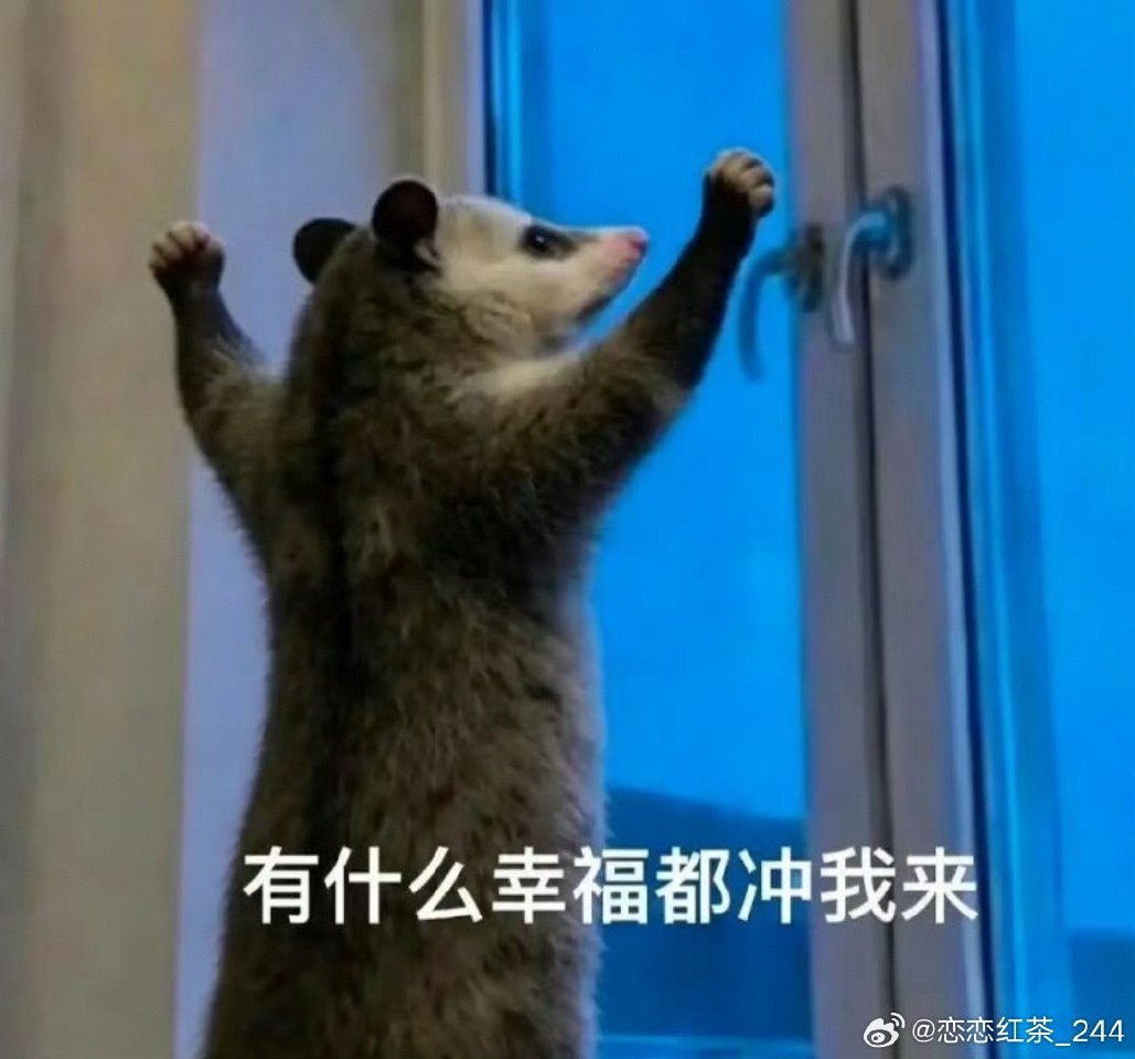 金粉互动与奶茶抽奖