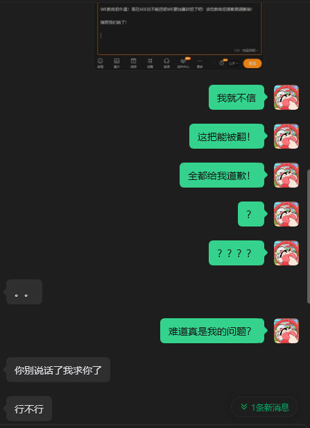WE粉丝现场红色助威